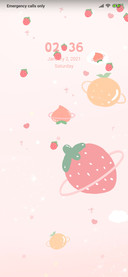 Strawberry Fruit