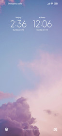 Skygrape