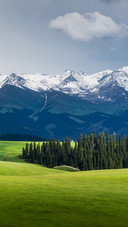 Spring Scenery of Kalajun Grassland in Yili, Xinjiang