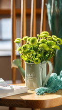 Daisy Flower Arrangement in the Sun