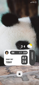 Panda Sleepy