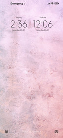 vitoricv29