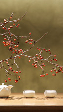 Red fruits in the study