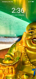 Laughing Buddha_DWM2
