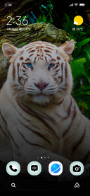Silent Ivory