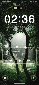 护眼森林