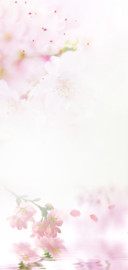 花开花谢