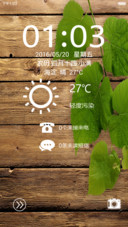 枯木逢春（最佳木纹）