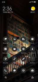 Luxury Library
