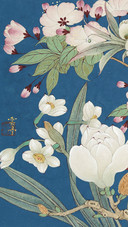 春卉骈芳