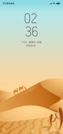 沙漠骆驼