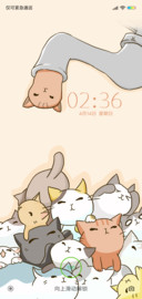 猫咪团子