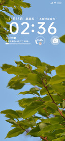 简约清新护眼