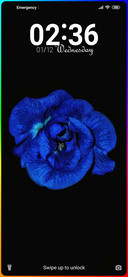 Premium_Flower