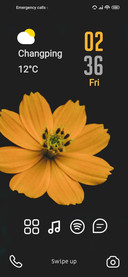 Morning Flower