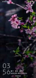 春花