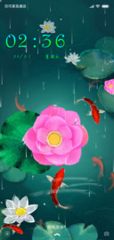 夏至清荷