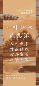 一叶知秋秋意浓