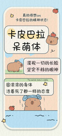 卡皮巴拉呆萌体