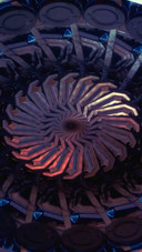 Air screw