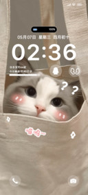 懵懂小喵