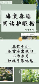 海棠春睡阅读护眼楷