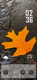 Rain Leafs