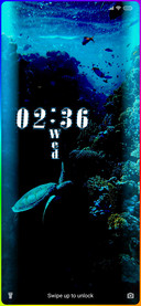 Wildlife_Sea