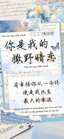 你是我的撒野暗恋