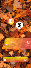 Autumn 2