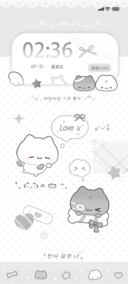 韩系黑白猫