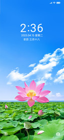 护眼绿荷