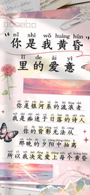 你是我黄昏里的爱意