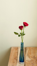 Roses in blue vase