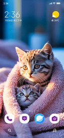 Cozy Cats