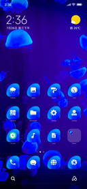 Jelly_Fish