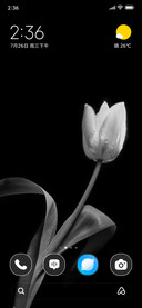 Pure Petal