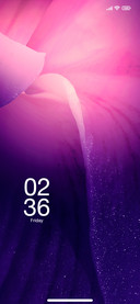Minimal Purple