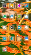 Flora_DWM2