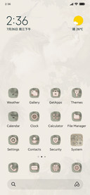 Jade Face Civet