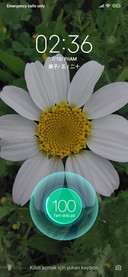 daisylove