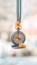 Pocket Watch and Flower Hanging on Twigs