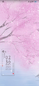 樱花雨落江南