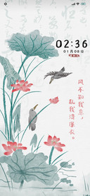 淡雅 莲