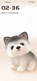 Cute husky