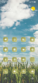 Cornfield