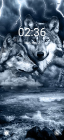 Dark wolf waves
