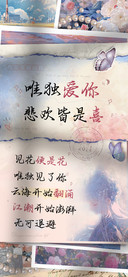 唯独爱你悲欢皆是喜