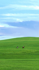 Grassland Scenery of Hulunbuir City, Inner Mongolia