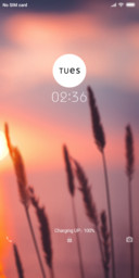 Vivo Night v10